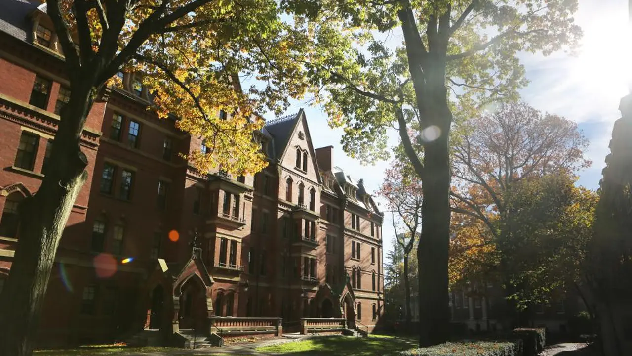 Considering the reputation of a foundation diploma provider