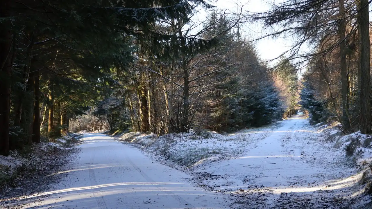 Two diverging paths representing a comparison